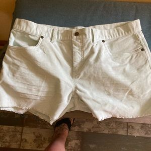 Carve designs oahu short 10